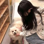 魔与道官方版本下载安装